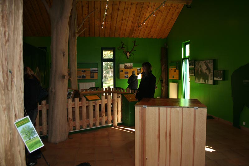 Killikus&reg; Fotographie